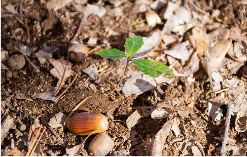 山下産業株式会社