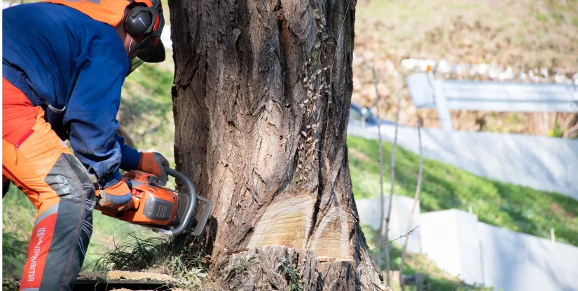 山下産業株式会社