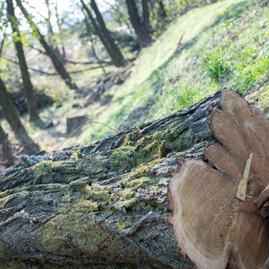山下産業株式会社