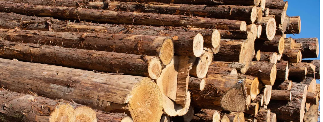 山下産業株式会社