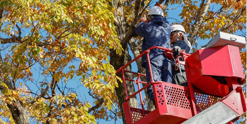山下産業株式会社